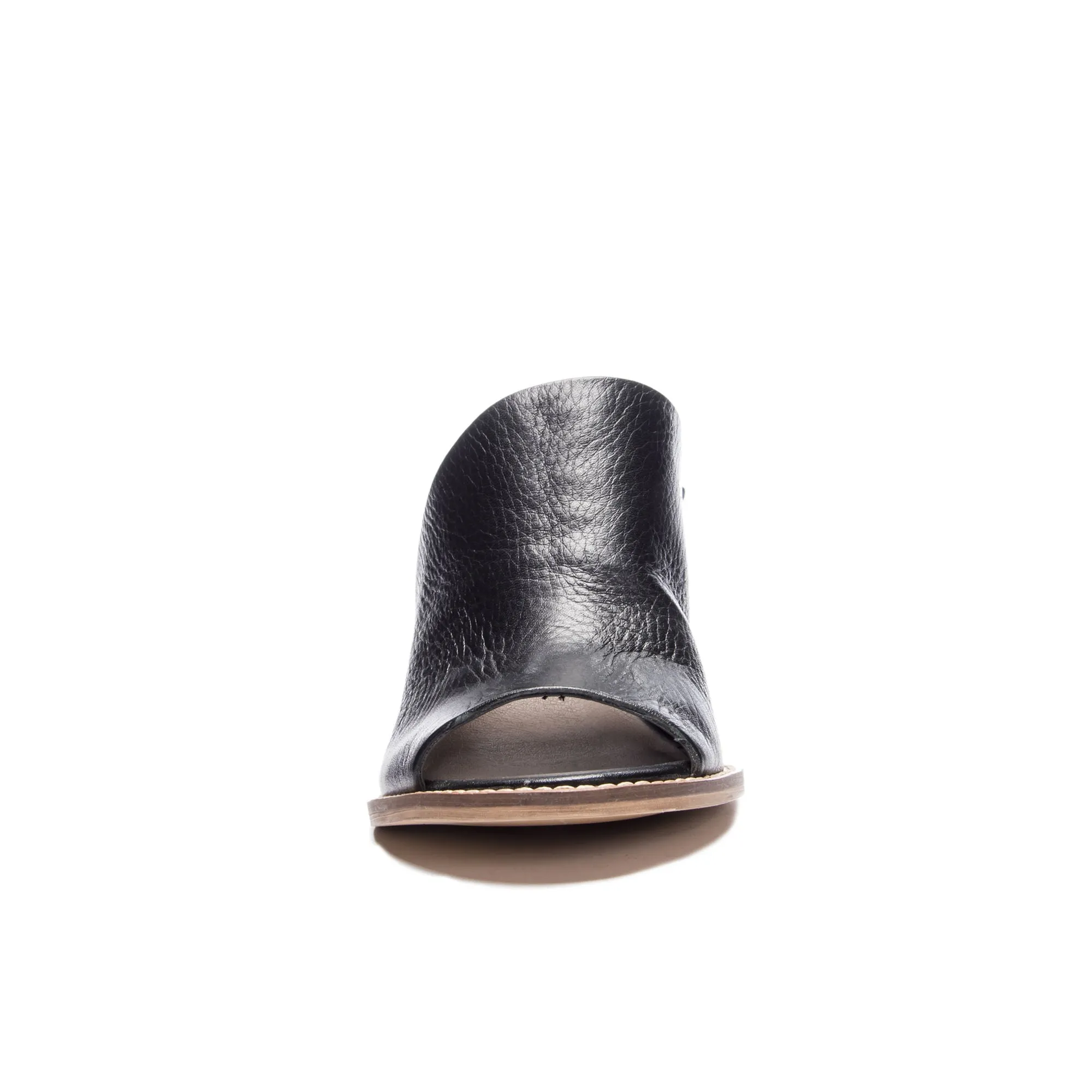 Carlin Mule
