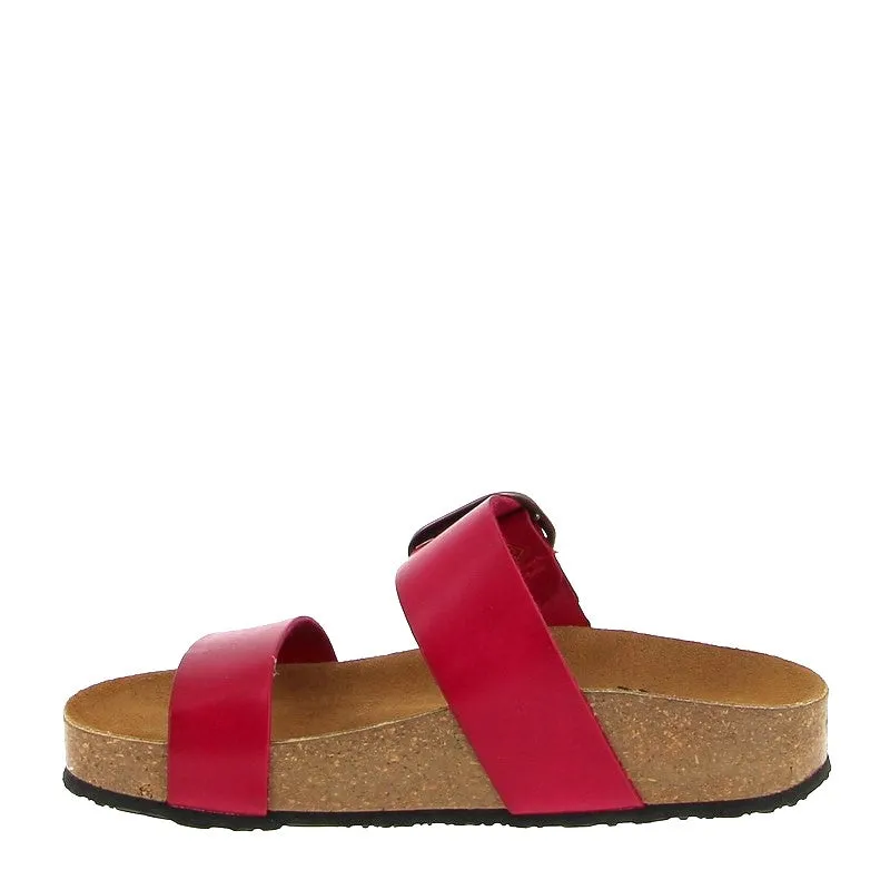 Plakton 343004 Red Slide